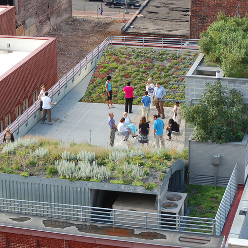 Image showcasing Denver's Green Roof Law is History - GreenBuildingAdvisor